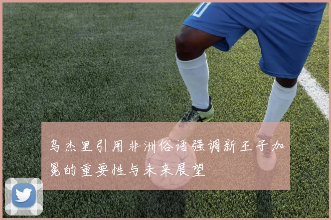 乌杰里引用非洲俗语强调新王子加冕的重要性与未来展望