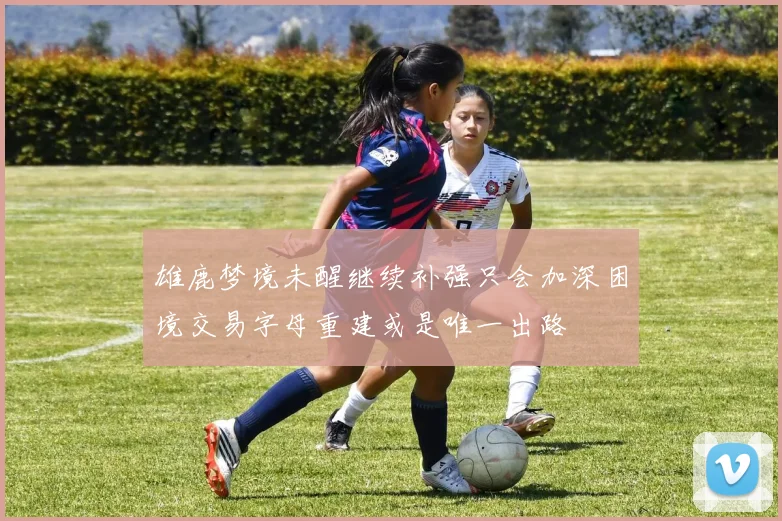 雄鹿梦境未醒继续补强只会加深困境交易字母重建或是唯一出路